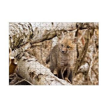 Cakapuzzle Ormanda Ağaçlar Arasındaki Yavru Tilki 120 Parça Ahşap Puzzle