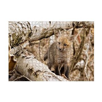 Cakapuzzle Ormanda Ağaçlar Arasındaki Yavru Tilki 120 Parça Ahşap Puzzle