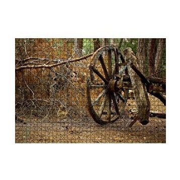 Cakapuzzle Ormanda Eski At Arabası Tekerleği 120 Parça Ahşap Puzzle