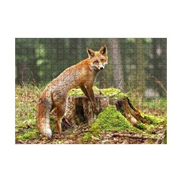 Cakapuzzle Ormanda Kütük Üzerindeki Çelimsiz Tilki 120 Parça Ahşap Puzzle