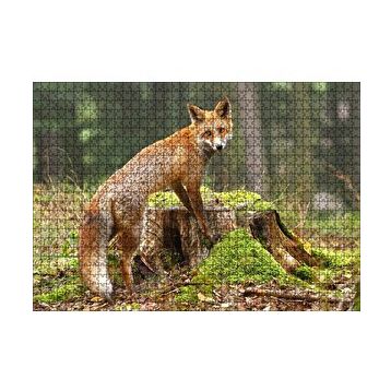 Cakapuzzle Ormanda Kütük Üzerindeki Çelimsiz Tilki 120 Parça Ahşap Puzzle