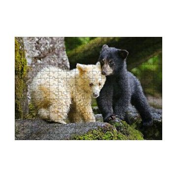 Cakapuzzle Ormanda Sarı Ve Siya Ayı Yavruları Görseli 120 Parça Ahşap Puzzle