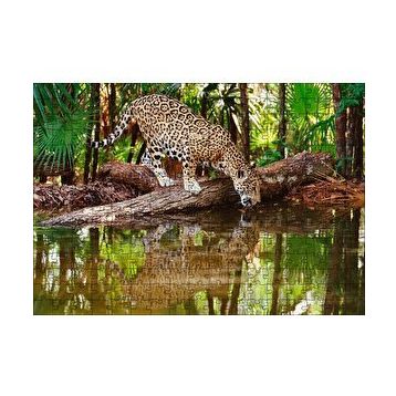 Cakapuzzle Ormanda Su İçen Leopar Görseli 120 Parça Ahşap Puzzle