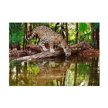 Cakapuzzle Ormanda Su İçen Leopar Görseli 120 Parça Ahşap Puzzle