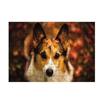 Cakapuzzle Ormanda Yapraklı Köpek 120 Parça Ahşap Puzzle