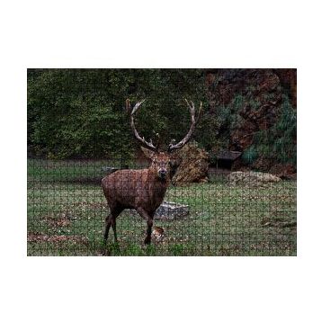 Cakapuzzle Ormandaki Erkek Geyik 120 Parça Ahşap Puzzle