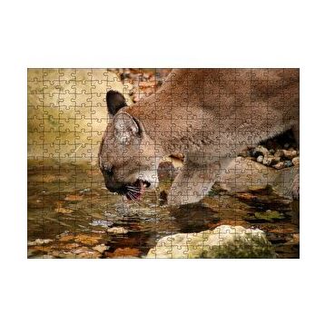 Cakapuzzle Ormandaki Puma Derede Su İçerken Görseli 120 Parça Ahşap Puzzle