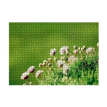 Cakapuzzle Otların Arasında Yeni Açan Çiçekler 120 Parça Ahşap Puzzle