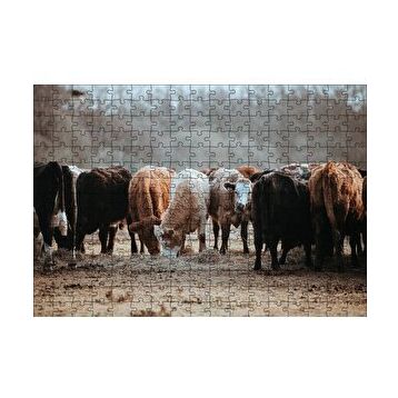 Cakapuzzle Otlayan Büyükbaş Hayvanlar 120 Parça Ahşap Puzzle