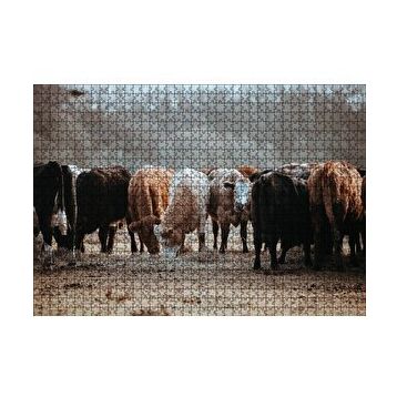 Cakapuzzle Otlayan Büyükbaş Hayvanlar 120 Parça Ahşap Puzzle