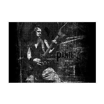 Cakapuzzle Pantera Dimebag Darrell Gitar Çalıyor 120 Parça Ahşap Puzzle