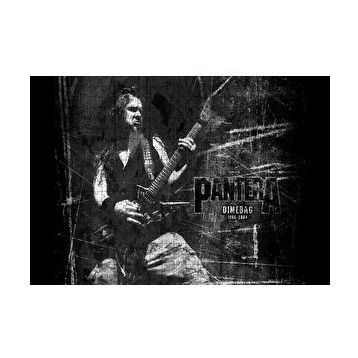 Cakapuzzle Pantera Dimebag Darrell Gitar Çalıyor 120 Parça Ahşap Puzzle