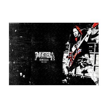 Cakapuzzle Pantera Solist Dimebag Darrell 120 Parça Ahşap Puzzle