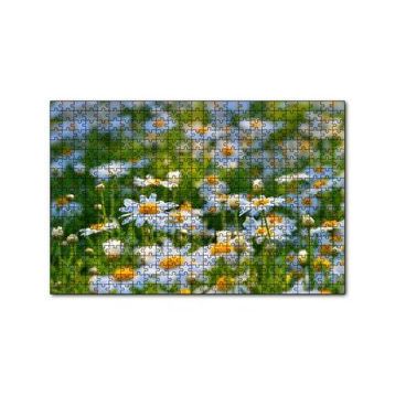 Cakapuzzle Papatya Tarlası 120 Parça Ahşap Puzzle