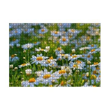 Cakapuzzle Papatya Tarlası 120 Parça Ahşap Puzzle