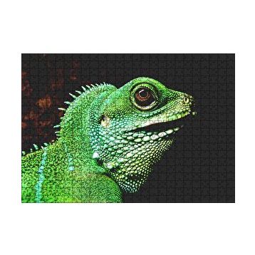 Cakapuzzle Parlak Yeşil Renkleriyle Kertenkele 120 Parça Ahşap Puzzle