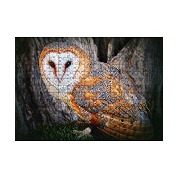 Cakapuzzle Peçeli Baykuş Türü 120 Parça Ahşap Puzzle