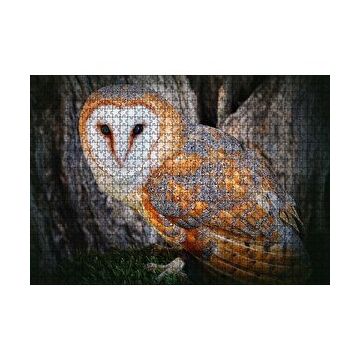 Cakapuzzle Peçeli Baykuş Türü 120 Parça Ahşap Puzzle