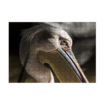 Cakapuzzle Pelikan Yakın Çekim 120 Parça Ahşap Puzzle