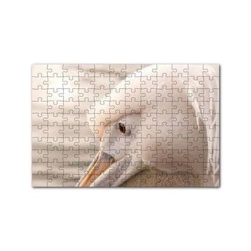 Cakapuzzle Pelikan Yakın Çekim Flu Arkaplan 120 Parça Ahşap Puzzle