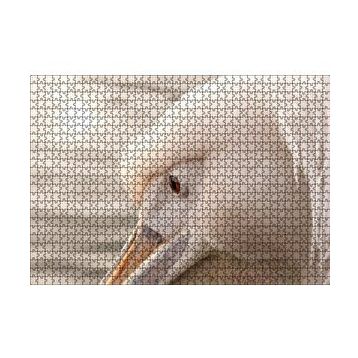 Cakapuzzle Pelikan Yakın Çekim Flu Arkaplan 120 Parça Ahşap Puzzle