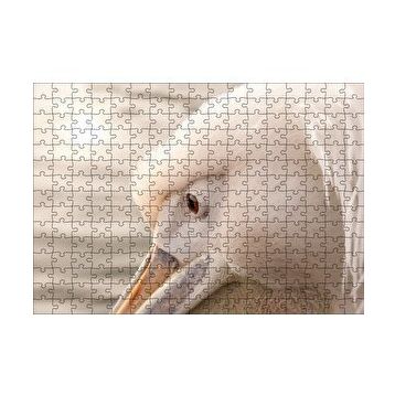 Cakapuzzle Pelikan Yakın Çekim Flu Arkaplan 120 Parça Ahşap Puzzle