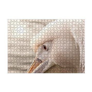 Cakapuzzle Pelikan Yakın Çekim Flu Arkaplan 120 Parça Ahşap Puzzle