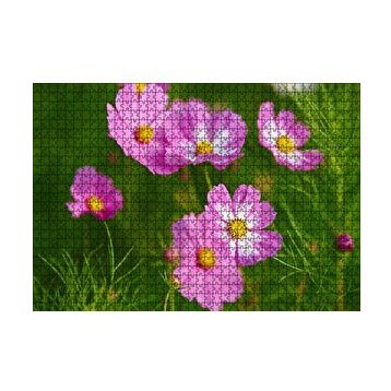 Cakapuzzle Pembe Beyaz Çiçekler 120 Parça Ahşap Puzzle
