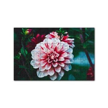 Cakapuzzle Pembe Beyaz Yıldız Çiçeği 120 Parça Ahşap Puzzle