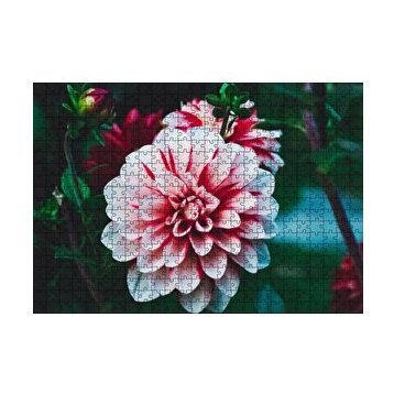 Cakapuzzle Pembe Beyaz Yıldız Çiçeği 120 Parça Ahşap Puzzle