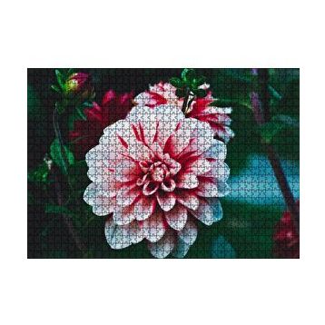 Cakapuzzle Pembe Beyaz Yıldız Çiçeği 120 Parça Ahşap Puzzle