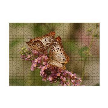 Cakapuzzle Pembe Çiçekler ve Bir Çift Kelebek 120 Parça Ahşap Puzzle