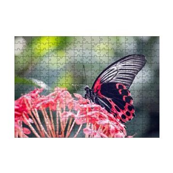 Cakapuzzle Pembe Çiçekler ve Siyah Kırmızı Kelebek 120 Parça Ahşap Puzzle