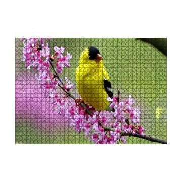Cakapuzzle Pembe Çiçekli Dalda Sarı Siyah Kuş 120 Parça Ahşap Puzzle