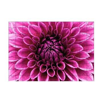 Cakapuzzle Pembe Dahlia Çiçeği Yakın Plan 120 Parça Ahşap Puzzle