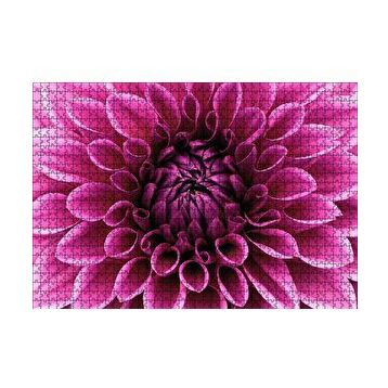 Cakapuzzle Pembe Dahlia Çiçeği Yakın Plan 120 Parça Ahşap Puzzle