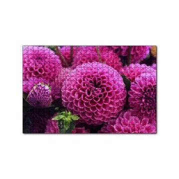 Cakapuzzle Pembe Dahlia Çiçekleri 120 Parça Ahşap Puzzle