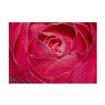 Cakapuzzle Pembe Gül Yakın Çekim 120 Parça Ahşap Puzzle
