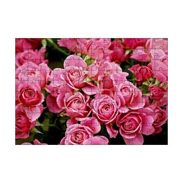 Cakapuzzle Pembe Güller 120 Parça Ahşap Puzzle