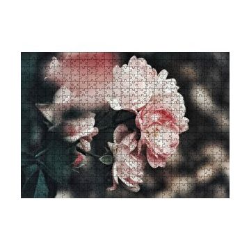 Cakapuzzle Pembe Güller Flu Arkaplan 120 Parça Ahşap Puzzle