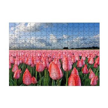 Cakapuzzle Pembe Lale Bahçesi Görseli 120 Parça Ahşap Puzzle