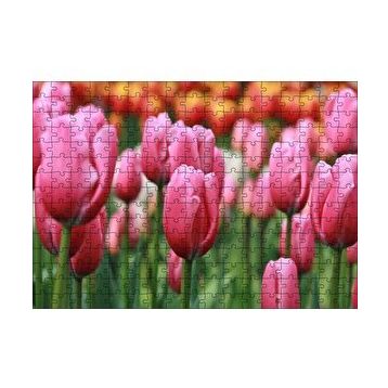 Cakapuzzle Pembe Lale Tarlası Görseli 120 Parça Ahşap Puzzle