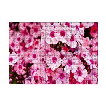 Cakapuzzle Pembe Plumeria Çiçekleri 120 Parça Ahşap Puzzle