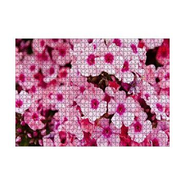 Cakapuzzle Pembe Plumeria Çiçekleri 120 Parça Ahşap Puzzle