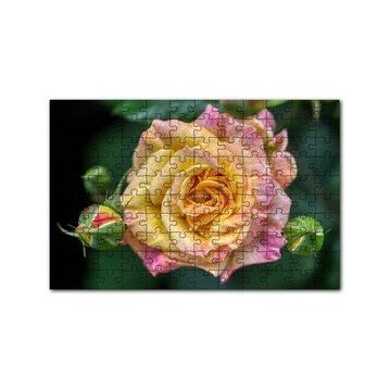 Cakapuzzle Pembe Sarı Gül Yakın Çekim 120 Parça Ahşap Puzzle