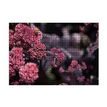 Cakapuzzle Pembe Tomurcuklu Çiçekler 120 Parça Ahşap Puzzle