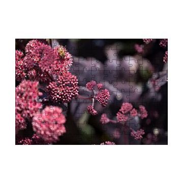 Cakapuzzle Pembe Tomurcuklu Çiçekler 120 Parça Ahşap Puzzle