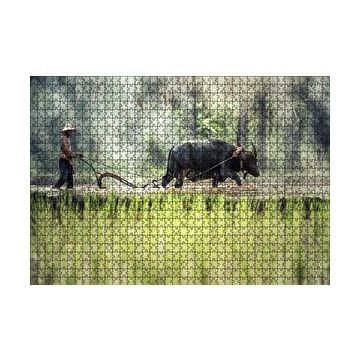 Cakapuzzle Pirinç Tarlası Süren Vietnamlı 120 Parça Ahşap Puzzle