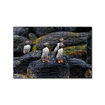 Cakapuzzle Puffin Bird Beak Rock 120 Parça Ahşap Puzzle