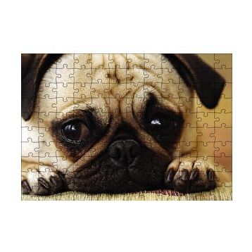 Cakapuzzle Pug Cinsi Köpek 120 Parça Ahşap Puzzle